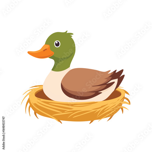 A detailed illustration of a duck sitting comfortably in its nest, showcasing natural elements.