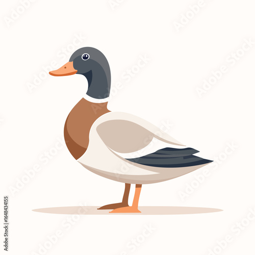 A detailed illustration of a male mallard duck, showcasing its distinctive plumage and features.