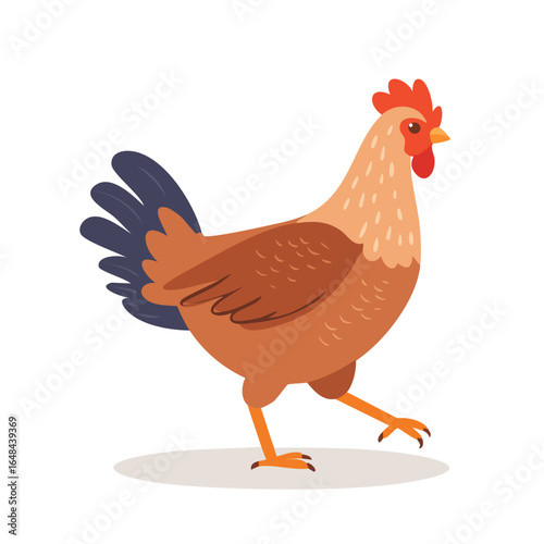A detailed illustration of a brown chicken with red comb and wattles walking on a white background.