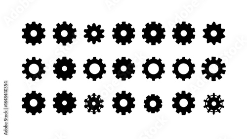 Collection of assorted seashells beach ocean