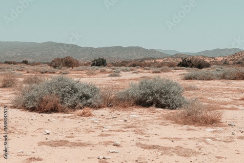 Desert landscape with scrubby vegetation.  Pale sand, muted colors, distant mountains