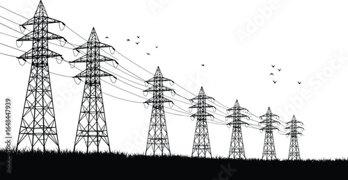 High voltage power transmission towers, electricity pylons, energy cables, birds flying, black and white silhouette, rural utility infrastructure, electric grid