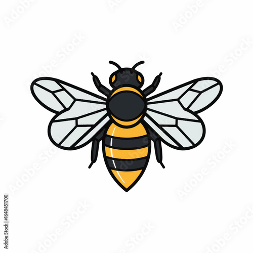 Cartoon Honeybee with Black Stripes and Detailed Wing Veins, Front View