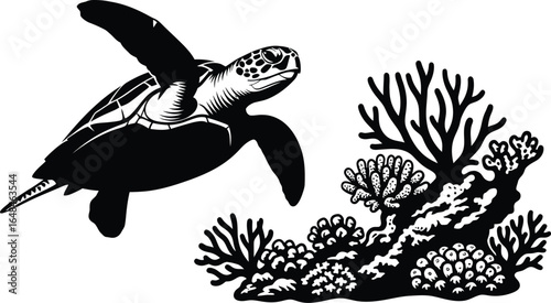 Silhouette of a sea turtle swimming near a coral reef, showcasing beauty and fragility of marine life