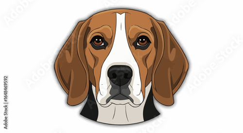 Beagle dog 
