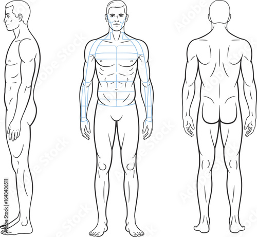 Male human body anatomy front, side, and back view, CAD drawing flat vector illustration, fashion design template, technical croquis figure outline