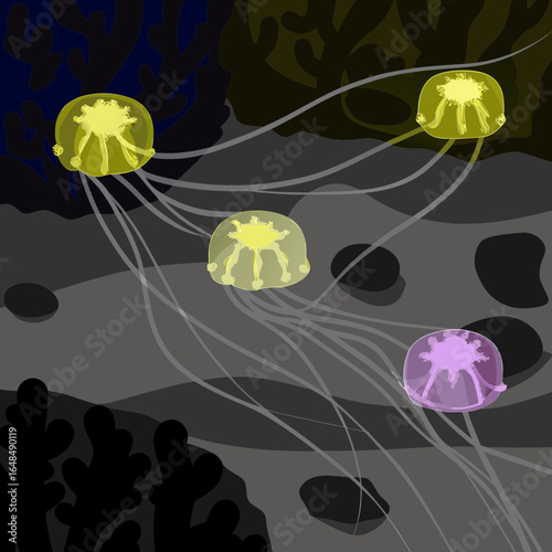  Stakeholder Coral Ecosystem: Bio-Organic Influence Network Vector Art