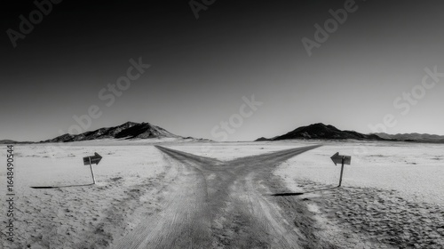 A black and white arid desert landscape with a split road, two directional arrows, rough gravel texture,
