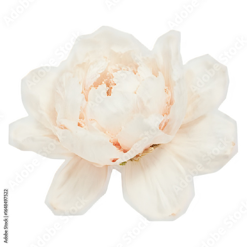 Ivory flower