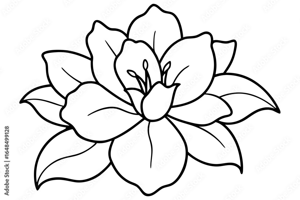 Fototapeta premium azalea flower line art vector illustration, flower outline