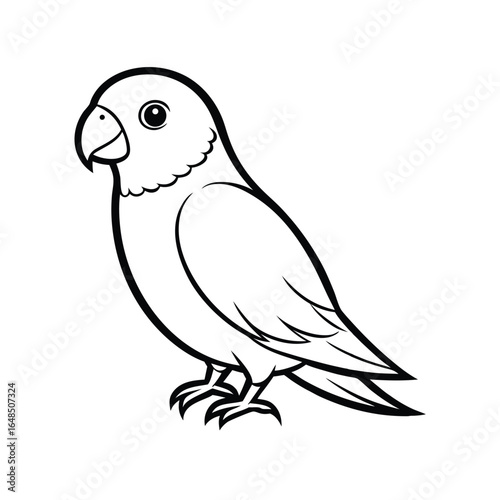 Clean and elegant line drawing of a rosy faced lovebird bird illustration