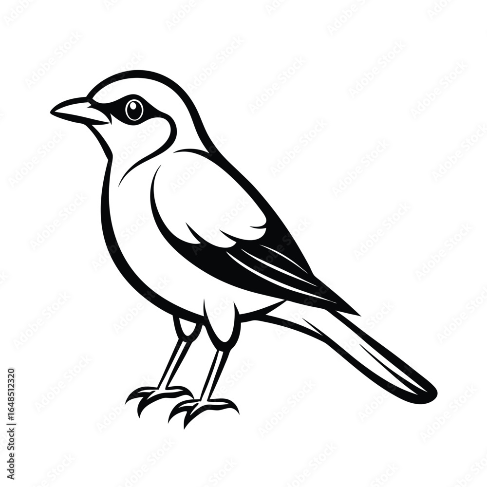Fototapeta premium Elegant thin outline illustration of a bush shrike bird perched gracefully on a branch isolated on a clean background