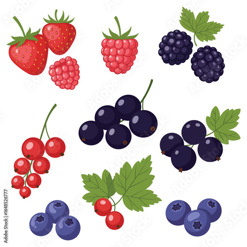 Assortment of Fresh Berries Strawberries Raspberries Blackberries Currants and Blueberries Illustration
