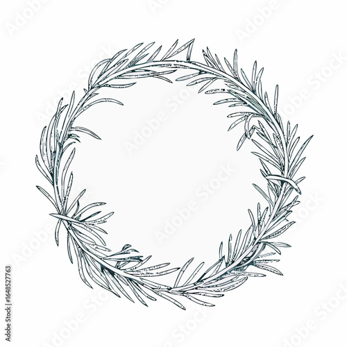 Rosemary wreath vector illustration herb green