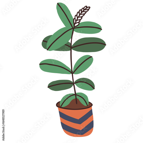 Green plant with dark leaves in a striped pot vector