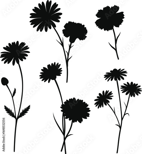 Floral Silhouette Collection of Various Flowers and Plants on transparent background collection