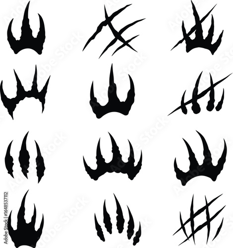 Animal Paw Prints and Claws on transparent background