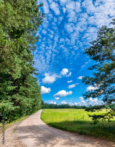 Summer day at countryside. Gravel road among pine forests, happy and healthy ...