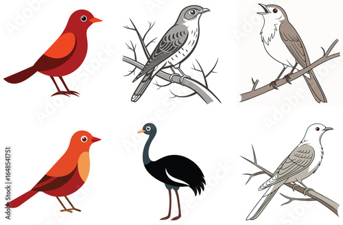 Wallpaper Mural Cute cartoon bird vector animal collection with owl, duck, and sparrow illustrations in nature Torontodigital.ca