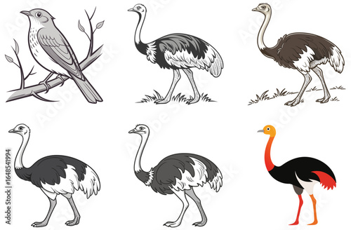 Vector silhouette illustration of a set of birds including flamingos, herons, and cranes in black with pink accents