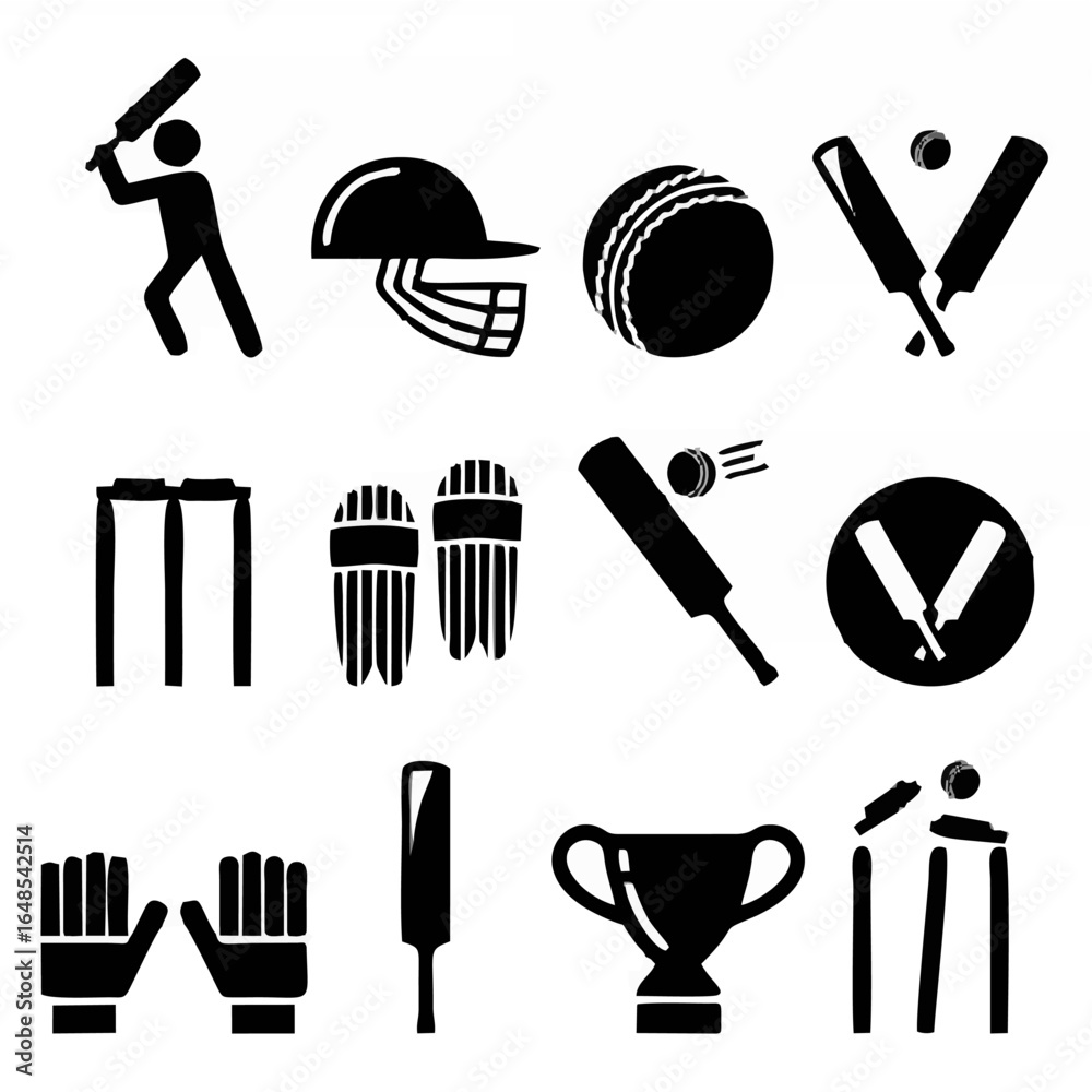 Obraz premium Cricket bat, man playing cric...