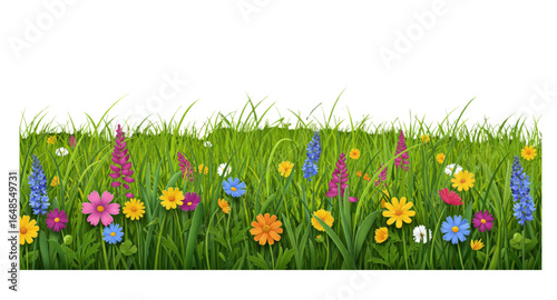 green grass and flowers
