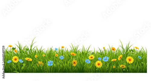 grass and flowers