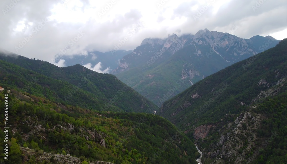 Naklejka premium Mountain valley shrouded in mist