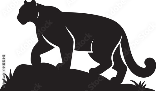 Sleek black panther prowls across grassy terrain