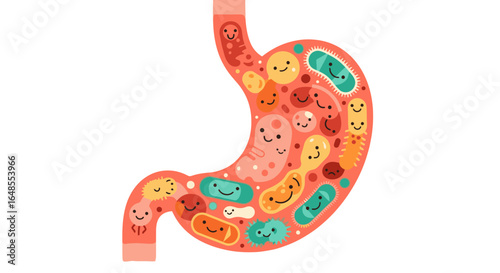 Happy gut bacteria in stomach illustration for healthy digestion and microbiome concepts