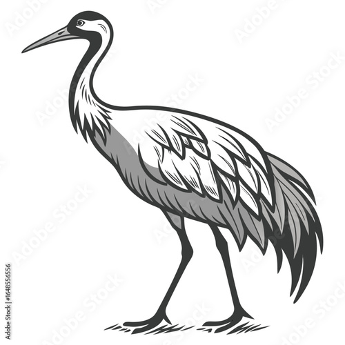 Crane White Background