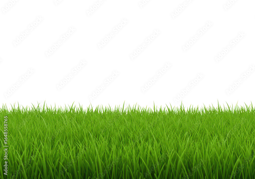 Fototapeta premium Green grass isolated on transparent background