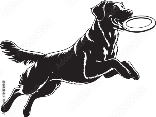 Energetic dog leaps catching frisbee pure joy