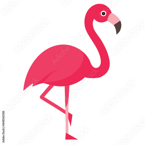 Flamingo White Background