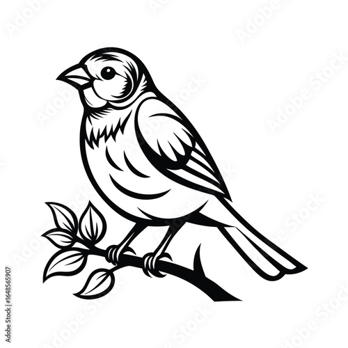 Charming line art illustration of a vibrant canary bird perched gracefully on a delicate flower branch