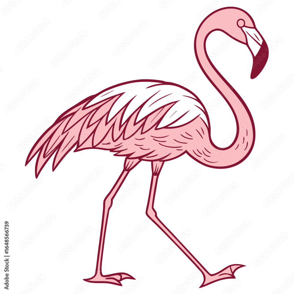 Fototapeta premium Flamingo White Background