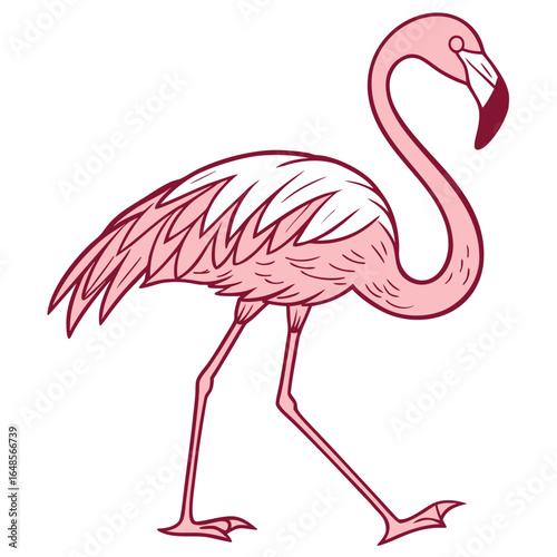 Flamingo White Background