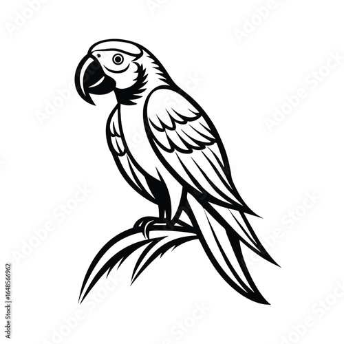 Vibrant macaw parrot with intricately detailed feathers in full color