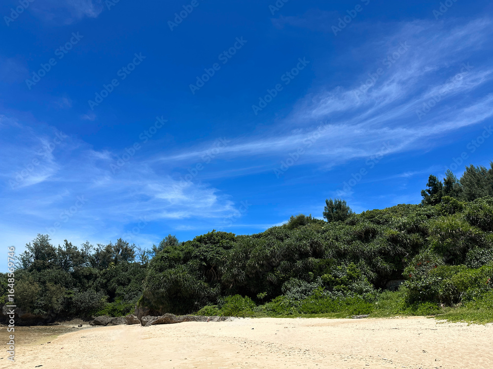 Fototapeta premium Tropical Beach with Lush Green Hills and Clear Blue Sky