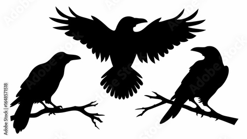 Three raven silhouettes one flying and two perched on branches against a white background illustration | editable eps vectors