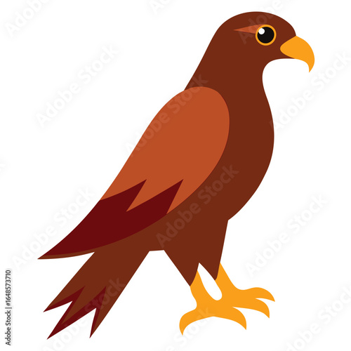 Hawk White Background