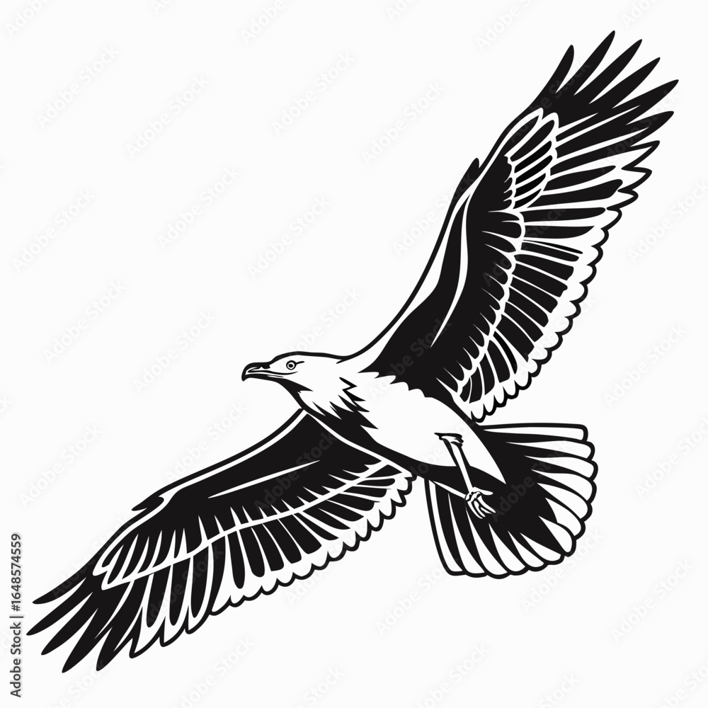 Obraz premium eagle vector illustration