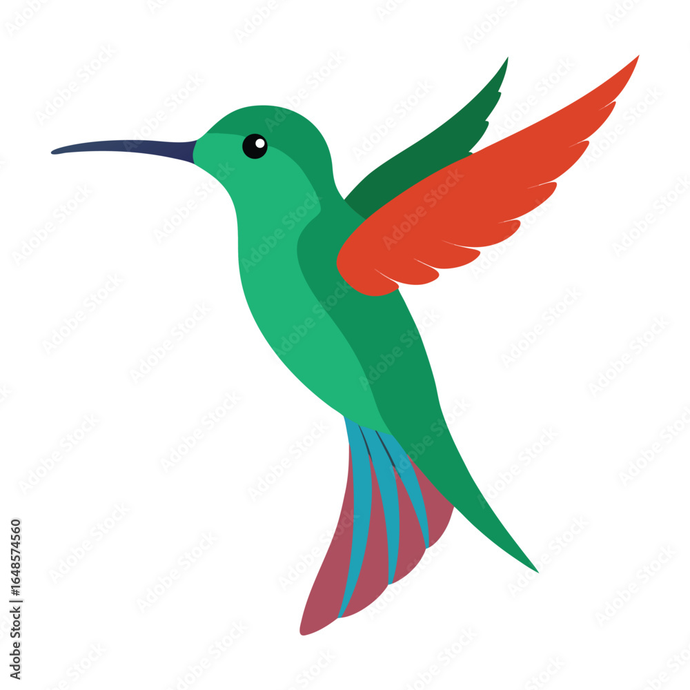 Obraz premium Hummingbird White Background