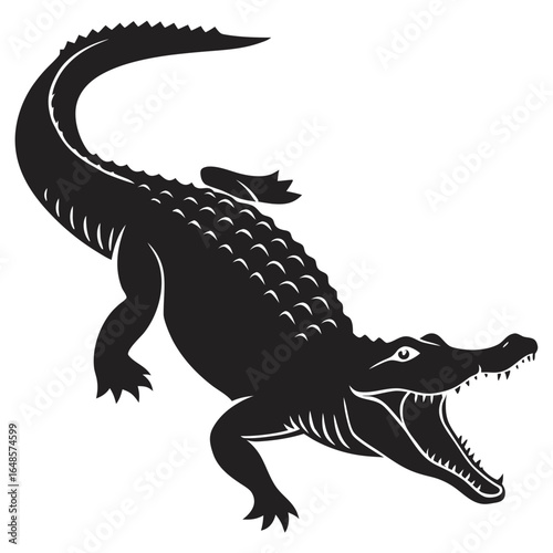 crocodile isolated on white background
