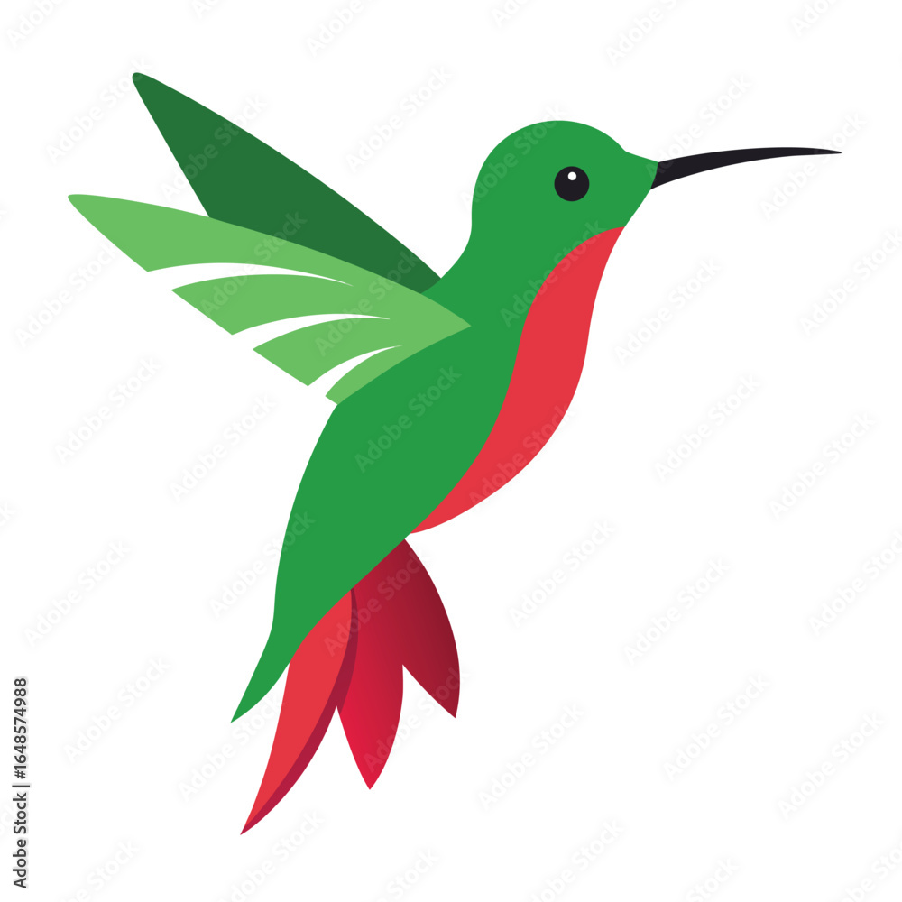 Obraz premium Hummingbird White Background