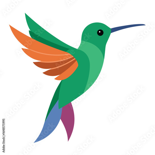 Hummingbird White Background