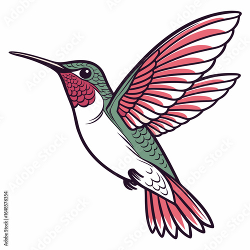 Hummingbird White Background