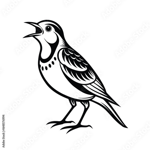 Elegant line art illustration of a eurasian skylark captured mid song on a clean white background