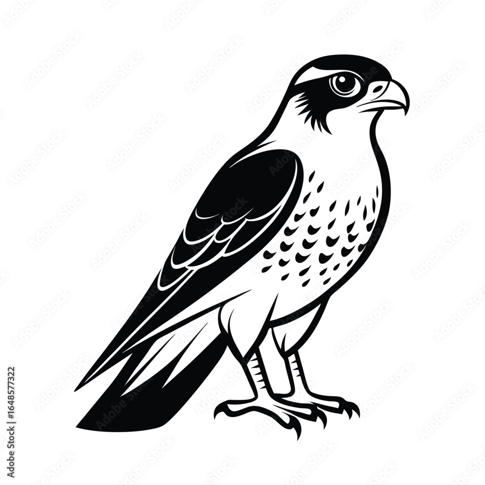 Elegant line art illustration of a eurasian sparrowhawk perched gracefully on a clean white background Elegant line art illustration of a eurasian sparrowhawk perched gracefully on a clean white background