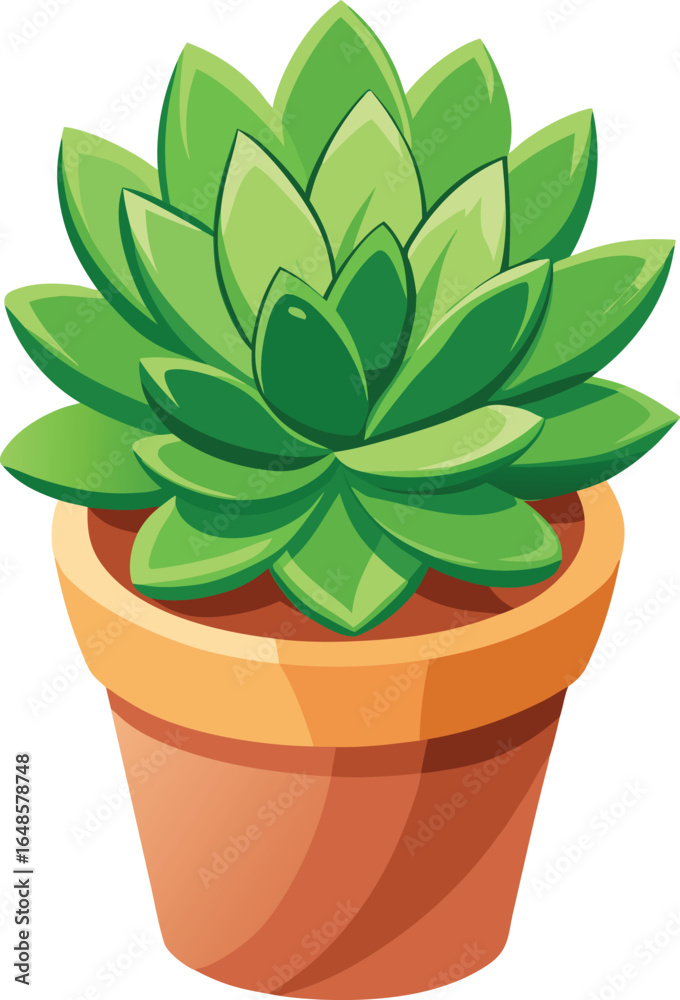 Obraz premium Kalanchoe succulent in pot